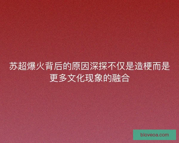 苏超爆火背后的原因深探不仅是造梗而是更多文化现象的融合