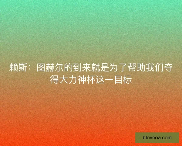 赖斯：图赫尔的到来就是为了帮助我们夺得大力神杯这一目标