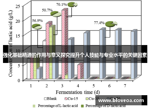 强化基础精通的作用与意义探究提升个人技能与专业水平的关键因素